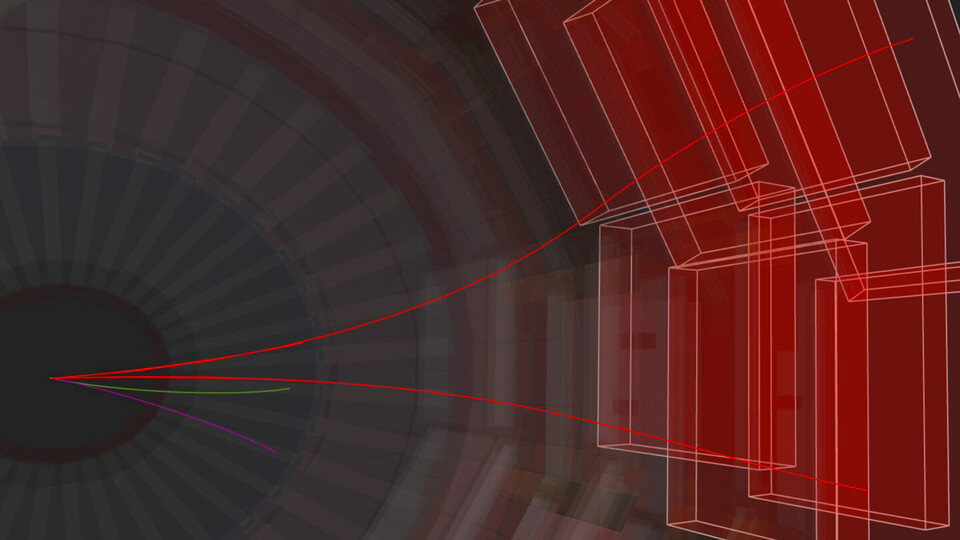 project_neubert_reduced